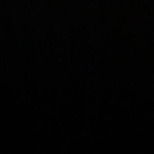 Meet your Posher, Dalton